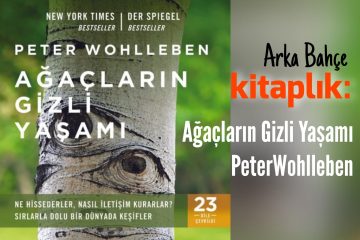 Ağaçların Gizli Yaşamı Peter Wohlleben