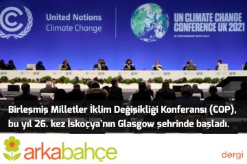 Birleşmiş Milletler İklim Değişikliği Konferansı (COP), bu yıl 26. kez İskoçya'nın Glasgow şehrinde başladı.